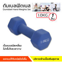 ดัมเบล Dumbbells สำหรับลดไขมันต้นแขน ออกกำลังกาย ฟิตเนส 1ชิ้น