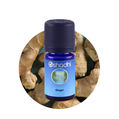 Oshadhi Ginger Essential Oil น้ำมันหอมระเหย (10 ml)