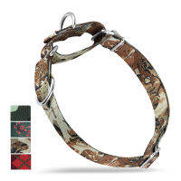 Hyhug Pets Anti-escape Martingale Dog Collar - Double D Ring Can Attached ID Tags or Using for Regular Collar