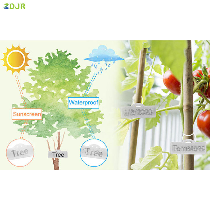 zdjr-garden-ป้ายพลาสติกบอกชื่อต้นไม้กันน้ำ-s-ป้ายพลาสติกบอกชื่อต้นไม้ทำเครื่องหมายสองด้านสำหรับบันทึกสภาพพืช