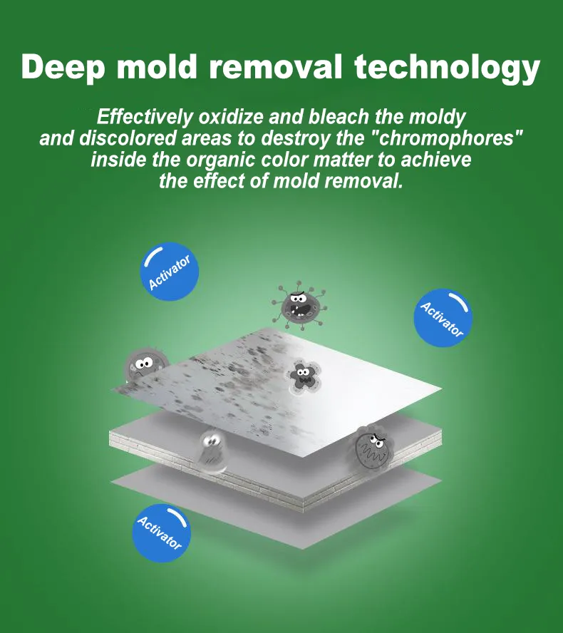 10 years without mold XXL Mold and mildew remover Molds remover spray Mold  remover Say goodbye to moldy walls and furniture Rapid mold removal Anti  mold spray Anti molds for cabinet Mildew