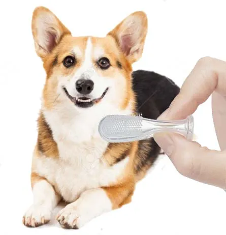 can you use human brush on dogs