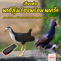 เสียงต่อ นกอีลุ้ม ร้องพร้อม นกกวัก 6ชั่วโมง ไม่มีโฆษณา แฟลชไดร์ฟ(Flash Drive) มีเก็บเงินปลายทาง ส่งด่วน Kerry Express