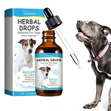 Best dog hotsell cough medicine