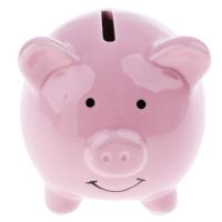 Kids Piggy Bank Money Box Saving Coins Cash Fun Gift Ceramic Pig