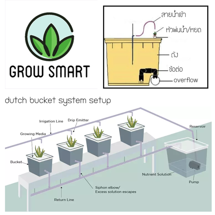 grow-smart-dutch-bucket-bato-bucket-drip-irrigation-recirculating-hydroponic-system-bucket-ถังปลูกไฮโดรโปรนิกส์-ระบบน้ำวน-ถังปลูกกัญไฮโดร-ถังปลูกกัญ-ปลูกเมล่อน-ปลูกมะเขือ