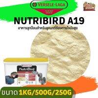 NutriBird A19 อาหารลูกป้อนสูตรไขมันสูง ฝาเหลือง (แบ่งขาย 500G/ 1KG)