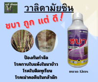 ชบา(วาลิดามัยซิน) ป้องกันกำจัดเชื้อรา ราคาประหยัด ฉีดกันก่อนแน่นอนกว่า