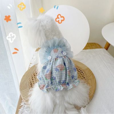 Ins Summer Pet Clothes Pumpkin Skirt Puppy Cat Plaid Lace Dress Princess Cartoon Print Suspenders Cat Dress Luxury Dog Clothes Dresses