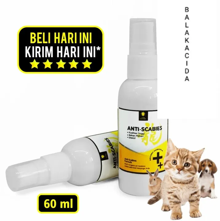 Obat Scabies Kucing Kelinci Spray anti scabies 60 ml Lazada Indonesia