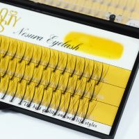 Individual Grafting False Eyelashes 10D Single tuft of M sandwich lashes Professional make up 60 Clusters Soft Natural Eyelash