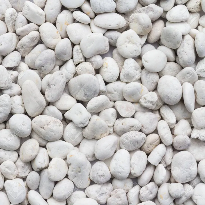 WHITE PEBBLES STONE for Aquarium 500grams | Lazada PH