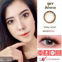 Sky Brown สีน้ำตาล Wink บิ๊กอาย Bigeyes คอนแทคเลนส์ Contact lens ค่าสายตา สายตาสั้น บิ๊กอายส์ ตาโต ตาหวาน โทนแบ๊ว