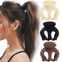 3PCS Pumpkin Grab Clip High Ponytail Fixed Artifact Hairpin Female Back Head Frosted 2023 New Hairpin Anti-sagging Claw Clip