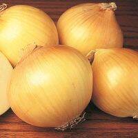 100 เมล็ด เมล็ดหอมหัวใหญ่ สายพันธุ์ หอมใหญ่ Efekt ของแท้ 100% อัตรางอก 70-80% Onion seeds มีคู่มือปลูก