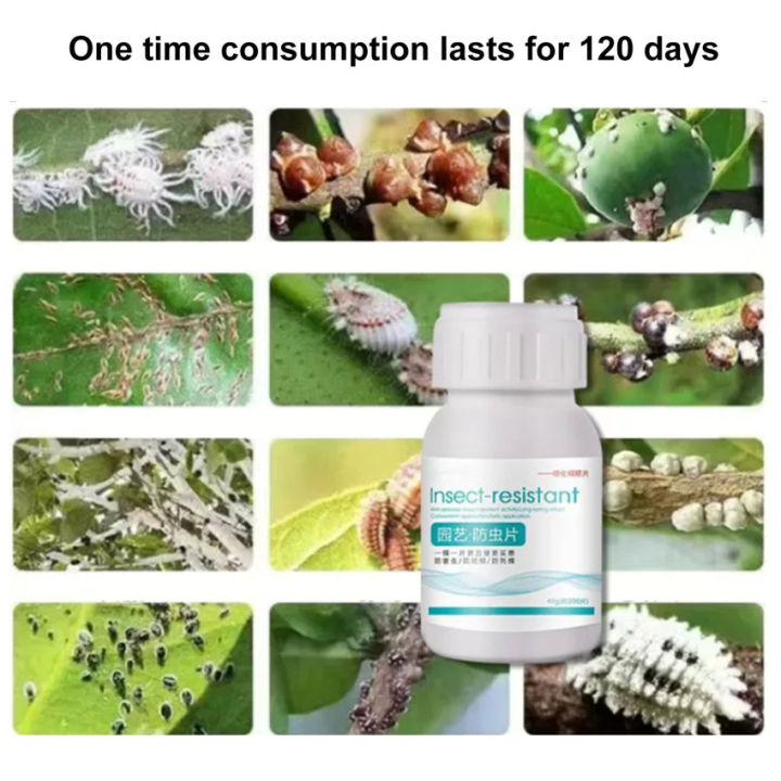 1เม็ดเป็นเวลา120วันสำหรับยาฆ่าแมลงกำจัดเพลี้ย40กรัม-200เม็ด-การควบคุมเพลี้ยกำจัดแมลงพืชเชื้อรายาฆ่าแมลงเพลี้ยอ่อนเชื้อราพืชเชื้อรายาฆ่าแมลงฆ่าแมลงพืชฆ่าแมลงเฉพาะแมลงไม่ทำลายพืชเพลี้ย