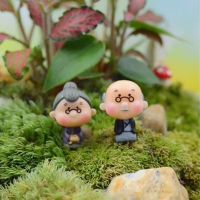 Hanak Terrarium สวนสุดชิคงานฝีมือผลิตภัณฑ์ตกแต่งบนโต๊ะบ้านจิ๋วตุ๊กตาบอนไซ Diy