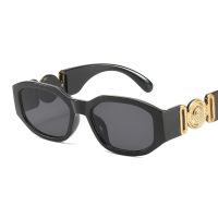 【hot】 Brand Designer Sunglasses Woman Irregular Fashion Glasses Small Frame Mirror De Sol