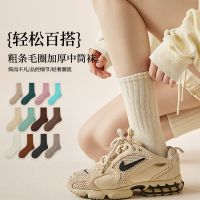 Summer summer stockings female cotton socks wholesale socks in the joker sports socks gym socks absorbent with shark pants