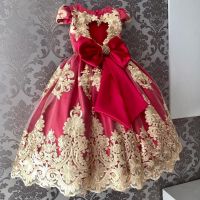 Embroidery Luxury Children Wedding Party Dresses for Girl Ruffles Flower Elegant Kids Princess Birthday Gown Carnival Prom Dress