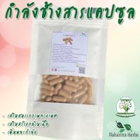 กำลังช้างสาร ขนาด 50 / 100 แคป (1pcs : 500mg.) ผักสมุนไพรไทย พร้อมส่ง [Lanna Samunpai]