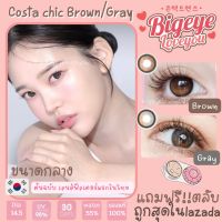 คอนแทคเลนส์?Costa Chic? Brown/Gray (Luxzylens) ขนาดมินิ?ขายดี?