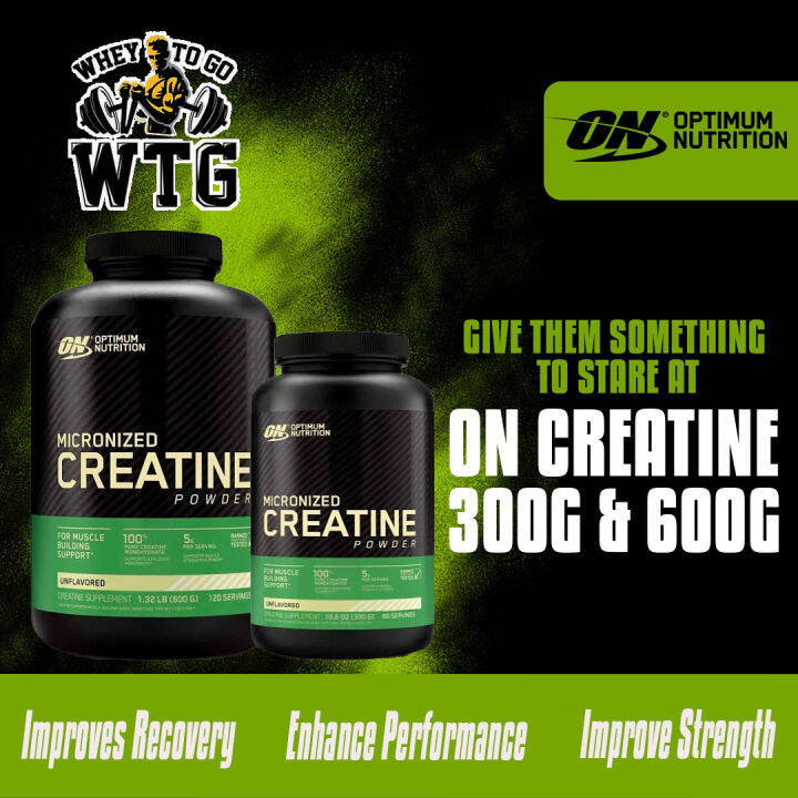 Optimum Nutrition ON Micronized Creatine powder 300 and 600 grams ...