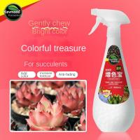 Succulent Plant Special Fattening Pigmentation Nutrient Solution 300Ml Color Aid Care Solution หลากสี