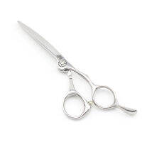 Hair Shears Sliding 5.5 INCH Barber hair scissors 9cr13 Small Scissors Precise Bearing screw Lyrebird HIGH CLASS NEW