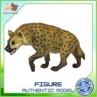 Safari Ltd. : SFR222629 โมเดลไฮยีน่า Hyena Model Action Figure Cartoon แอกชั่น ฟิกเกอร์ ของเล่น ของสะสม ของเล่นเด็ก ตุ๊กตา Mamy and Buddy