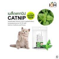 IOH Catnip Seeds from USA เมล็ดแคทนิปของแท้ สมุนไพรสำหรับแมว (พร้อมส่ง)