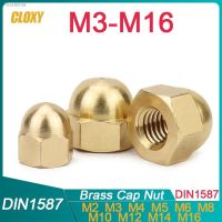 ♨⊕◐ 1/ 2/ 5/ 10/ 20/ 50Pcs DIN1587 M3 M4 M5 M6 M8 M10 M12 M14 M16 Brass Cap Hex Nuts Decorative Dome Head Cover Semicircle Acorn Nut