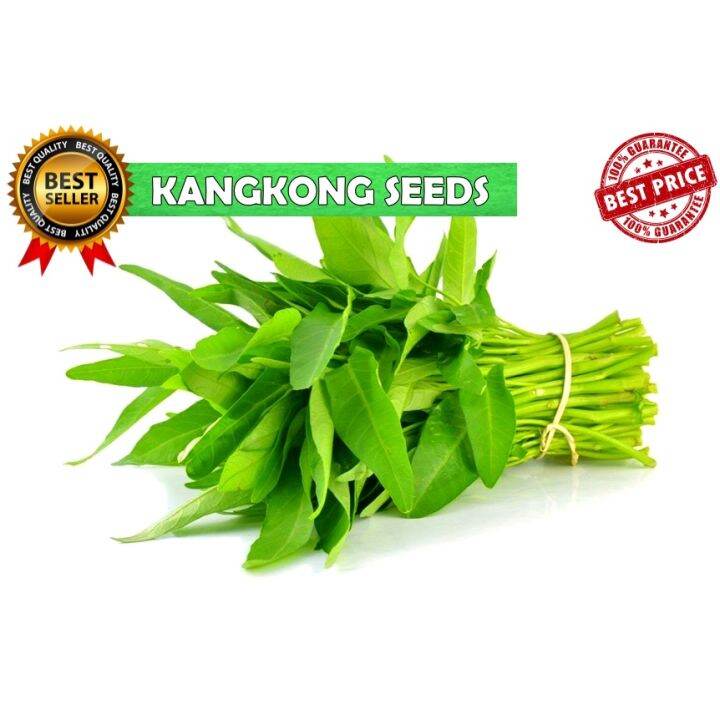 Linbei Value Pack Uplandlowland Kangkong Seeds 1pack 20pcs Seeds