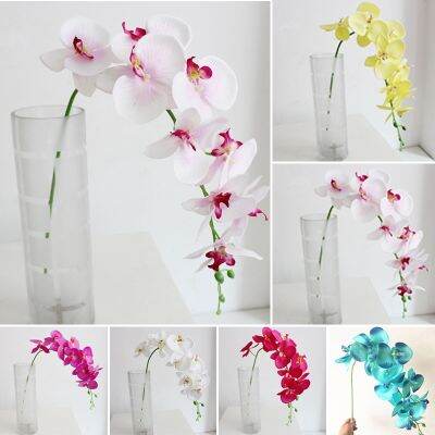 EVER* Bouquet Of Refreshing 9 heads 3D Butterfly Moth Orchid Artificial Flower~