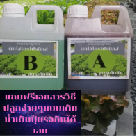 ธาตุอาหารพืช AB ขนาด 1 ลิตร (1000ml) สูตรเพิ่มธาตุเหล็ก ปุ๋ยไฮโดรโปนิกส์ ปุ๋ยAB ปุ๋ยน้ำ สำหรับปลูกผักไร้ดิน  กดติดตามร้านค้า ทางร้านมีส่วนลด