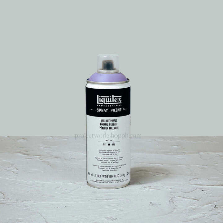Liquitex Spray Paint 400ml Lazada PH