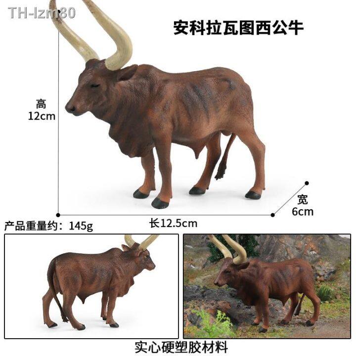 ของขวัญ-ankola-watusi-bull-รุ่น-solid-จำลองสัตว์รุ่นสัตว์ปีก-ranch-เด็กของเล่นเพื่อการศึกษาก่อนวัยอันควร