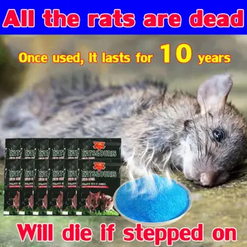 Ratkil Ultra Powerful Rat Trap - Large, Heavy Duty Rat Trap That Kills