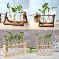 Transparent Glass Vase Wood Frame Iron Art Terrarium Bonsai Table Ornaments Flower Vase Tabletop Hydroponics Plant Flower Pot