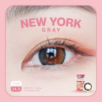 คอนแทคเลนส์ คิตตี้ คาวาอิ New York Gray