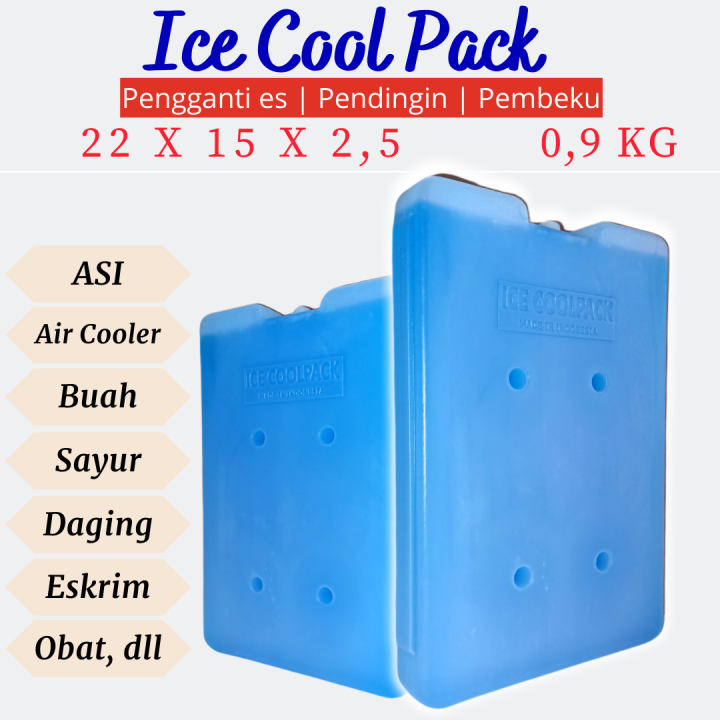 ICE PACK COOLER BOX ICE PACK TEST LEMPENGAN PENDINGIN ES KRIM