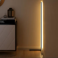 Corner Floor Lamp Modern Simple LED Rod Floor Lamps for Living Room Bedroom Atmosphere Standing Light Indoor Lighting