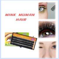 【MINK MUMAN HAIR】100% PURE NATURAL HUMAN HAIR EYELASH EXTENSION 10mm CHARMING LASH HUMAN HAIR EYELASH EXTENSION SOFT AND REALISTIC