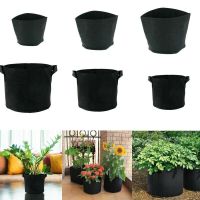 [ready stock]กระถางผ้า กระถางปลูกต้นไม้ [Grow Bag] [มีหูหิ้ว] [Fabric Plant Pots ]Bag pot 1,3,5,7,10 Gallon ถุงปลูก 1,3,5,7,10 แกลลอนมีบริการเก็บเงินปลายทาง