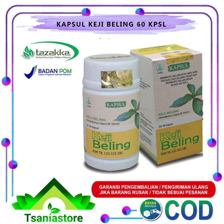 Kapsul Keji Beling Tazakka Obat Herbal Batu Ginjal 60 Kapsul | Lazada ...