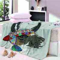 Bandage level horse light sky 3D wall Plush Fleece Blanket picnic sofa