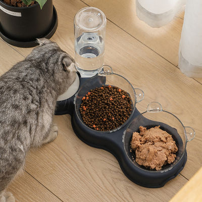 3-in-1 Cat Bowl Automatic Feeder Dog Cat Food Bowl With Water Fountain Double Bowl Drinking Raised Stand Dish Bowls For Cats