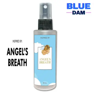 Perfect scents angel cheap perfume