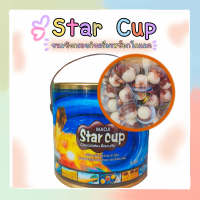 Star Cup สตาร์คัพ มาโอจิสตาร์คัพช็อคโกแลตวิท บิสกิต บิคคัพ