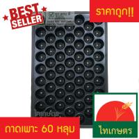 ถาดเพาะกล้า ถาดเพาะเมล็ด ถาดเพาะชำ 60 หลุม ตราไทเกษตร (แพค 3 ใบ) Nursery Tray